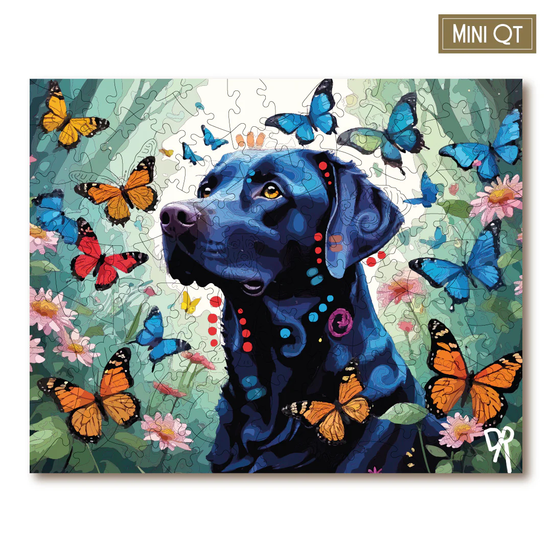 Butterfly Lab MINI QT