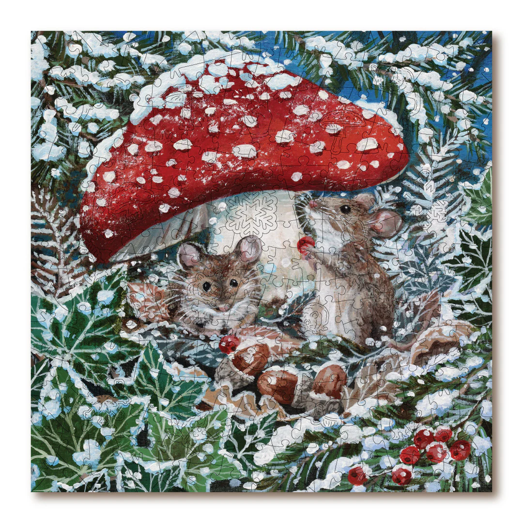 Shelter From The Snow